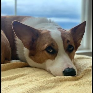 Meet your Posher, Nataliia